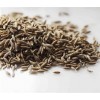 印度進口孜然供應(yīng) Cumin
