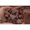 智利鐵礦石中國推廣 Iron ore